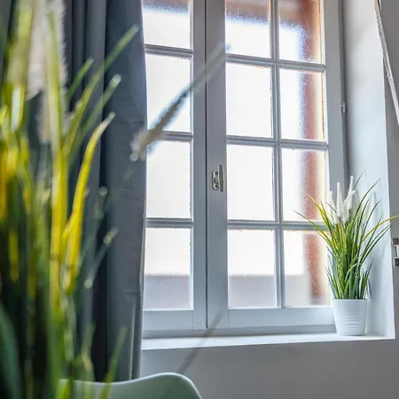 Capstay La Rhonelle - Netflix - 2 - Cuisine Apartament *